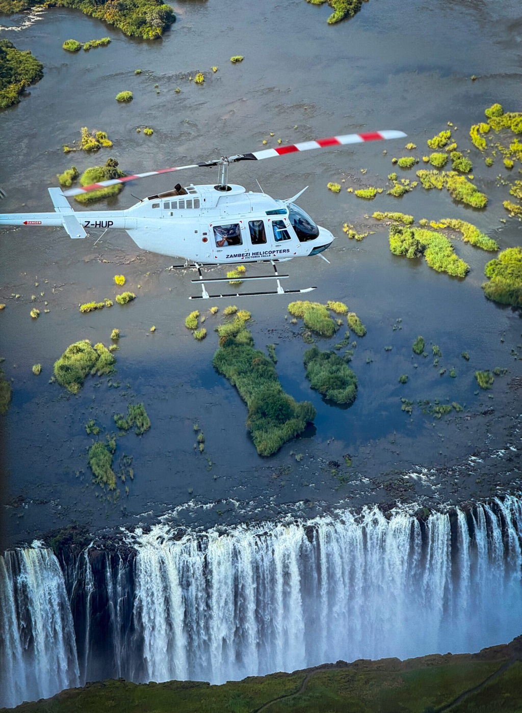 Elephant and wildlife viewing on safari