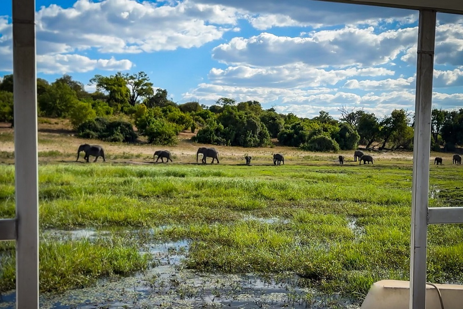 Game Drive Zambezi N.P