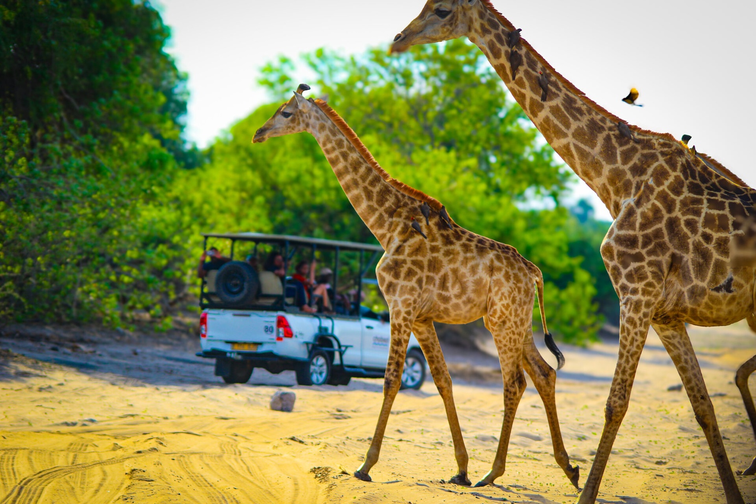 Game Park Private Reserve